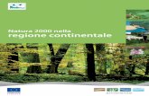 Natura 2000 nella regione continentale - ec.europa.eu · precisamente, occupa vaste zone di Francia, Germania, Italia, Polonia, Repubblica ceca e Bulgaria nonché porzioni importanti