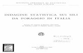 INDAGINE ST ATISTICA SUI SILI DA FORAGGIO IN ITALIA · per quanto provvisti di semplice armatura rigida e, pertanto, non vere e pro prie costruzioni - richiedono una serie di procedimenti
