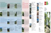 Riserve forestali nel Parco Vie storiche Trasporti e ... · AUTOPOSTALE Valle Onsernone (linea 324) e Val Rovana (linea 331) Info: AutoPostale Svizzera SA Regione Ticino - 6500 Bellinzona