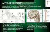 ANTROPOMETRIA - people.unica.itpeople.unica.it/carlamariacalo/files/2019/04/8.antropometria.pdf · ANTROPOMETRIA La scienza che misura in maniera sistematica il corpo umano nella