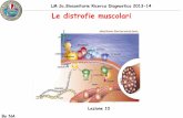 LM Sc.Biosanitarie Ricerca Diagnostica 2013-14 Le ... distrofie muscolari.pdfDistrofia facio-scapolo-omerale FSHD La prevalenza e’ stimata essere compresa fra 4 e 10/100.000, la