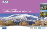 Natura 2000 nella regione alpina - European …...Catene montuose nella regione biogeograﬁ ca alpina dell’UE: Lunghezza della catena Cima più alta Pirenei 430 km 3,404 m Alpi