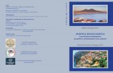 INCONTRO DI MEDICINA GERIATRICA · INCONTRO DI MEDICINA GERIATRICA Invecchiamento demografico: prospettive e problematiche socio-sanitarie Napoli 9 Giugno 2017 Piano di Sorrento 10
