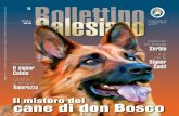 cane di don Boscobiesseonline.sdb.org/2016/pdf/201604.pdf · 2016-03-24 · sa, del sonno. Ne venne fuori un porticato basso ma elegante, nello stile dell’epoca. Nella parte interna