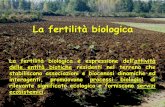La fertilità biologica - Agraria UniRC...La porosità costituisce la sede dell’attività biologica Gli spazi tra gli aggregati ed all'interno degli aggregati possono ospitare, in