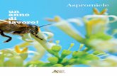 ASPROMIELE, UN’ASSOCIAZIONE IN BREVE G...2 Gran parte degli apicoltori ci conosce come Aspromiele, ma la definizione completa è Associazione Regionale Produttori Apisti- ci del