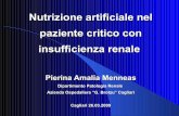 Nutrizione artificiale nel paziente critico con insufficienza renale · 2009-03-27 · Nutrizione artificiale nel paziente critico con insufficienza renale Pierina Amalia Menneas