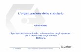 Gino Villetti Sperimentazione animale: la formazione degli … · 2017-12-04 · alla SOP e le procedure da seguire in uscita. • È inoltre opportuno che ci sia una barriera fisica