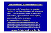 Glomerulonefrite Membranoproliferativa - Fisiokinesiterapia · Glomerulonefrite Membranoproliferativa Tipo II (Glomerulonefrite a Depositi Densi) Nefropatia rara, si manifesta più