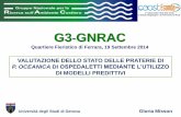 G3 GNRAC · 2019-05-31 · Batimetrie Equazioni predittive Condizioni di riferimento in 2D = Cartografia finale 2D . G3-2014 Ferrara, 19 Settembre 2014 Materiali e metodi Parametri