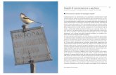 131 Aspetti di conservazione e gestione GIUSEPPE CARPANETO · … · 2009-04-16 · La gestione della fauna Come in tutti gli ecosistemi di macchia del mondo (in California, in Cile,