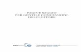 PAGINE SAGGIO PER GENTILE CONCESSIONE DELL’EDITORE · Manuale tecnico di progettazione, valutazione dei rischi e intervento con ISBN 88-513-0010-0 E3 pp. 624, € 43,90 Il manuale