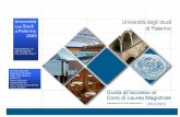 Università degli Studi Palermo 1805 · 2013-03-08 · Psicologia sociale, del lavoro e delle organizzazioni (LM-51) pag.50 Scienze della comunicazione pubblica, d'impresa e pubblicità