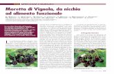 Tn sPeciale ciliegio Moretta di Vignola, da nicchia …...rina” di Vignola non solo ha iniziato nuovamente ad essere coltivata, ma è diventata anche uno dei simboli della biodiversità