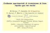 Evidenze sperimentali di transizione di fase liquido-gas ...gpco/scuola/secondo/dagostino/lezione2.pdf · Within a phase-transition scenario, this value represents the transition