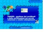 TRACES –gestione dei certificati e delle certificazioni ... · alle procedure GMP, SSOP, HACCP dovrà essere riportata la motivazione nella pagina relativa alle osservazioni; anche