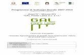 Programma di Sviluppo Rurale 2007-2013 · indirizzo Chisineu Cris, str. Canepii 12 – J udet ARAD - Romania telefono/fax +40 257 350894 posta elettronica gal@gal-mvc.ro Soggetto