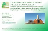 UN PIANO DI SORVEGLIANZA NELLA «FOOD VALLEY»...CRONISTORIA 15 ottobre 2008 La Giunta Provinciale di Parma approva il progetto PAIP (Polo Ambientale Integrato per la gestione dei