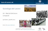 Sociologia del Lavoro - Peoplepeople.unipi.it/.../05/SocLAV-2016-17-L8-MDL-Comparati-I.pdf · 2017-06-05 · Reyneri E., Sociologia del mercato del lavoro, Bologna, il Mulino, 2011.