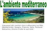 Interessa tutti i territori che si affacciano sul Mar ... mediterraneo...- clima mite - bellezza dei litorali - città d'arte. I borghi mediterranei Case bianche: il bianco riflette