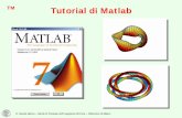 TM Tutorial di Matlabl’editor di Matlab con cui si possono scrivere e salvare dei file funzione o degli script (sequenze di comandi Matlab) richiamabili in un secondo momento. Il