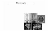 l01 introduzione alle bioimmaginiTavole di anatomia di Netter ... • analisi di strutture anatomiche • diagnostica • analisi di patologie (cause) • monitoraggio terapia, follow