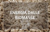 ENERGIA DALLE BIOMASSE - A Scuola di Tecnologia...Le biomasse e i combustibili da esse derivate emettono nell'atmosfera, durante la combustione, una quantità di anidride carbonica