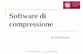 Software di compressionevenus.unive.it/borg/5Compressione.pdf · Reti e Sistemi Informativi –Anno Accademico 2009/2010 6 Tecniche Lossless Durante la compressione si preoccupano