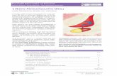 Pacchetti Informativi sui Farmaciaiac.it/wp-content/uploads/2018/03/NOAC_RER.pdf · Pacchetti Informativi sui Farmaci -n.1 . ottobre 2013 -pag. 1. L’impiego delle terapie anticoagulanti