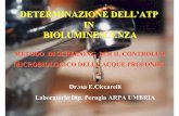 DETERMINAZIONE DELL’ATP IN BIOLUMINESCENZA - Arpa Umbria - Ciccarelli_APAT99_15 sett.pdf · Infatti il metodo bioluminometrico rileva una risposta biologica complessiva mentre i