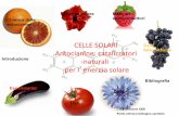 CELLESOLARI Antocianine:catalizzatori naturali perl · 2012-03-16 · CELLESOLARI Antocianine:catalizzatori naturali perl ʼenergiasolare Chimica delle antocianine Energia solare