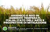 ARSENICO E RISO IN AMBIENTI TEMPERATI. ITALIA: STATO …...Vitamine e minerali contenuti negli strati più esterni del granello sono solubilizzati attraverso l’acqua calda . Trattamento