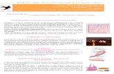 sbe884316ca9211a8.jimcontent.com · Web viewLe donne con carcinoma mammario ai primi stadi (assenza di mestatasi in altri organi, assenza di metastasi ai linfonodi ascellari o al