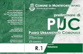 Verso il Piano Urbanistico Comunale · 2018-06-01 · Verso il Piano Urbanistico Comunale Il sistema di conoscenze per Monteforte Irpino . c) rapporto ambientale (Ra) al fine della