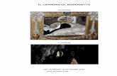 IL CAMMINO DI BERNADETTE - Pellegrinandosantiago.pellegrinando.it/2018/bernadette.pdf · Lo scorso anno dopo aver raggiunto Jasna Gora, anche là un Volto, la Madonna Nera tanto venerata