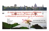 A malo bonum: leucemie a Mantova, gestione di un falso ... · A malo bonum: leucemie a Mantova, gestione di un falso allarme e riflessioni preventive su di un artefatto Ricci P Gatti