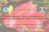 “Tecniche alternative all'uso di fitoregolatori per la ... Floricoltura 2006_file/Ppt U.O. Pisa.pdf · Kg/m3 di osmocote (18:12:30 8 mesi) e 3 Kg/m3 di cornunghia • L’irrigazione