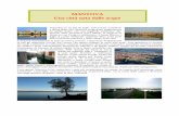 MANTOVA Una città nata dalle acque - fermimn.edu.itl’ambiente: i suoi laghi sono tuttora tra i luoghi più inquinati d’Italia , ma la tutela della natura è diventata uno degli