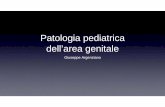 Patologia pediatrica dell’area genitalePatologia pediatrica dell’area genitale Giuseppe Argenziano. Praticato tampone positivo per stafilococco aureo resistente ai trattamenti