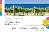 U svim bojama Istre In tutti colori dell’Istria · 2019-05-29 · Četiri zemlje zaslužne su i za realizaciju projek-ta Kruh sa četiri zemlje. Specifičnost tog kru-ha leži u