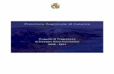 Provincia Regionale di Catania · 5 2009 1. Analisi del contesto socio economico L’analisi di contesto1 parte dall’aspetto del territorio ricostruito attraverso la configurazione