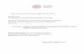 Sede Amministrativa: Università degli Studi di Padovapaduaresearch.cab.unipd.it/2260/2/Corrain_Tesi_Dottorato.pdf · 2009-12-14 · 6 Summary Aim of the present work is to improve