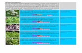 Carciofi e cardi - AgriBioNotizie · 2018-08-07 · kr22 CERFOGLIO Erba aromatica annuale, ... Nome botanico: Anthriscus cerefolium Ciclo: annuale kr23 CORIANDOLO Pianta aromatica