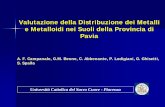 Valutazione della Distribuzione dei Metalli e Metalloidi ... · Valutazione della Distribuzione dei Metalli e Metalloidi nei Suoli della Provincia di Pavia Università Cattolica del