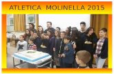 ATLETICA MOLINELLA 2015 · 5 ori e 2 argenti per l'Atletica Molinella ai campionati di società provinciali di Imola riservati alle categorie Ragazzi e Cadetti Si impone nell'alto