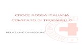 CROCE ROSSA ITALIANA COMITATO DI fondamentali del Movimento Internazionale di Croce Rossa e Mezzaluna