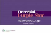 Orecchini Purple Star - Hobbyperline.com · Orecchini Purple Star. Chiacchierino ad Ago fig. 3 fig. 4 Raccogliere le perline con un ago sottile. Trasportare le perline selezionate