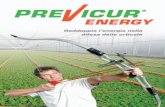 Previcur Energy - Agripiudabenito...Previcur Energy La crescente specializzazione nella produzione di colture orticole di qualità ha notevolmente favorito la diffusione di alcune