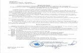 primaria-anina.roprimaria-anina.ro/hcl/hcl_205_29.11.2017.pdf · Väzând Expunerea de motive Raportul de specialitate al Institutiei Arhitectului din cadrul aparatului de specialitate