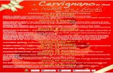 Stampa di fax a pagina intera - Cervignano del Friuli · Xl Febbraio con fiocchi natalizi realizzati dalle scuole del territorio martedì 8 dicembre MERCATINO DI NATALE: v. XlFebbraioþalle